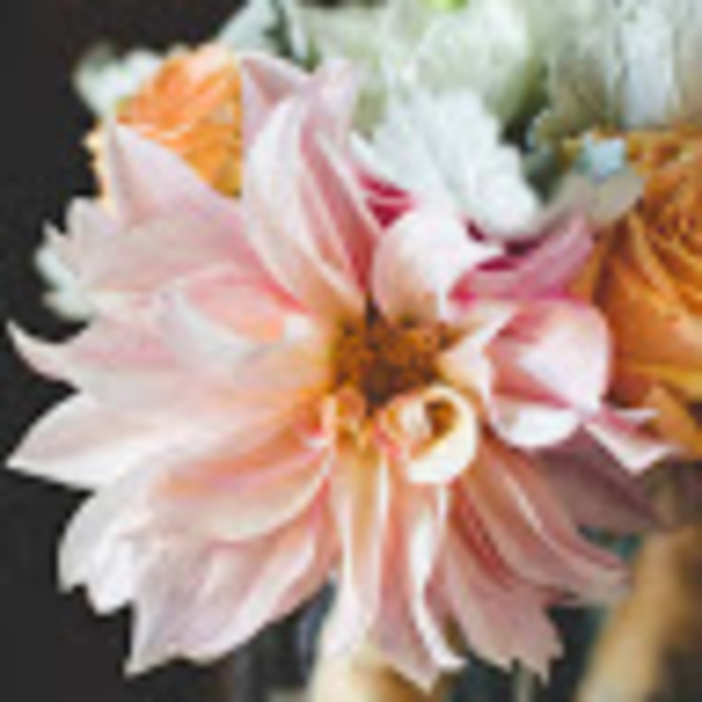 Meet your Posher, Jessica